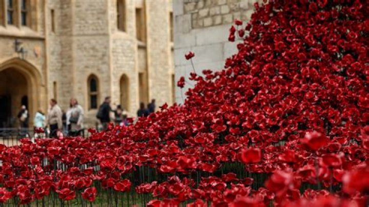Now On Display At The Tower Of London