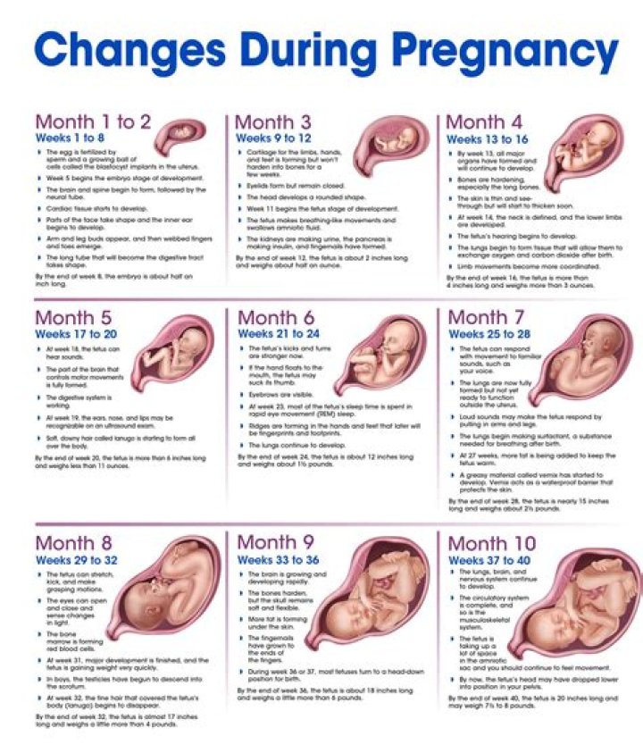 Sarah Isgur's Pregnancy Journey: A Comprehensive Guide