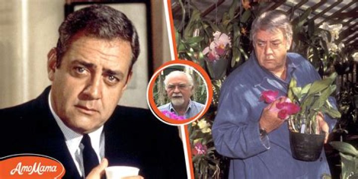 The Unsung Partner Behind Raymond Burr's Success