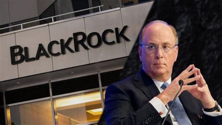 Unveiling BlackRock's Net Worth: A Journey Of Discoveries