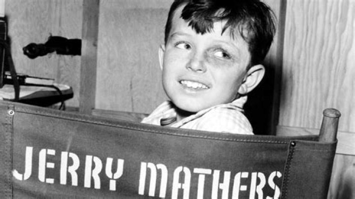 Why Jerry Mathers Was Nicknamed "The Beaver"